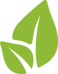 leaf-icon-green